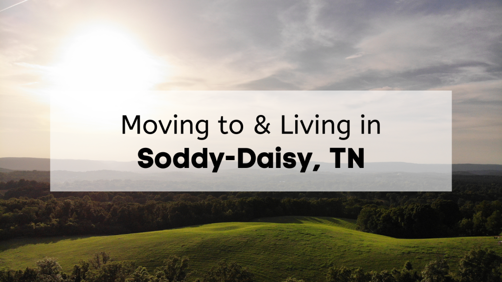 What&rsquo;s Living in Soddy Daisy Like? 🌼 | What to Know About Moving 